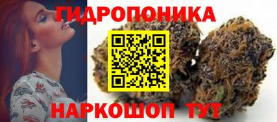 apvp Ачхой-Мартан