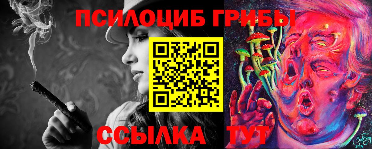 Галлюциногенные грибы Psilocybe Киров
