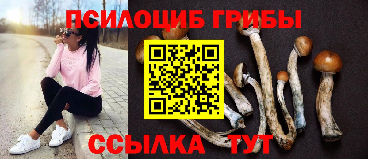 Меф МЯУ МЯУ  МДМА  Где продают наркотики?  КОКАИН  МЕФ кристаллы  Киров  Вход с VPN  Бошки Шишки 