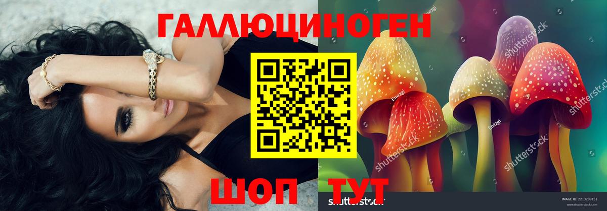 Псилоцибиновые грибы GOLDEN TEACHER  Вход с VPN  Киров 